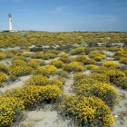 El Parque Natural Cabo de Gata acoge proyectos piloto europeos de desarrollo sostenible.
