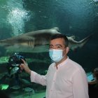 Enrique Fernández ante el tiburón toro \'Romero\', en el Aquarium Costa de Almería.