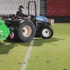 Los operarios han empezado a cambiar el césped del Estadio.