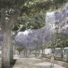 Así quedaría, según el diseño, la Plaza del Educador