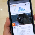 El proceso de votación ya está abierto al público a través de la web de RTVE.