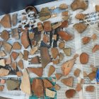 Imagen inédita con algunos de los restos aparecidos en Villaricos en 2018 y 2019.