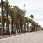 La provincia de Almería vuelve a estar en alerta amarilla por viento.