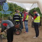 Policía Nacional interviene en una explotación agraria.