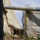 Pasillo de acceso a la parte trasera de la finca