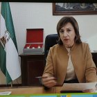 García durante su intervención en el webinar.