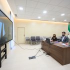 La representación municipal en \'Almería Alta Velocidad\' durante la reunión telemática
