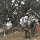Profesionales junto a la encina milenaria.