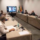El presidente Juanma Moreno ha presidido de manera telemática el comité de expertos.