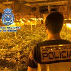 La Policía Nacional ha intervenido en dos viviendas de La Chanca.