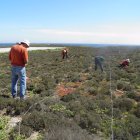 Técnicos de medio ambiente en la isla de Alborán.