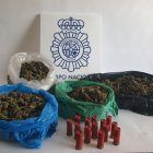 Los detenidos portaban gran cantidad de cogollos de marihuana para su traslado.