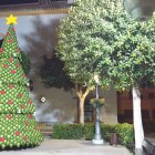 El árbol de ganchillo en la plaza de la iglesia de Canjáyar.
