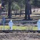 El cuerpo ha sido hallado este sábado.