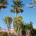 Un avión en prácticas sobrevuela estos días los barrios cercanos al aeropuerto.