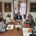 El Ayuntamiento se muestra satisfecho con la gestión ética de los felinos.