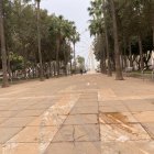 La calima ha dejado la capital cubierta de polvo y barro.