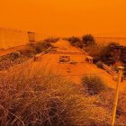 La calima ha afectado a los invernaderos al impedir la entrada de la luz solar