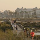 Los charcos de agua producidos en las zonas verdes tras las intensas precipitaciones han sido uno de los criaderos más comunes.