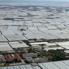 Panorámica de invernaderos en la provincia de Almería.