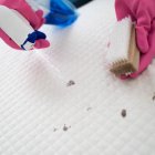 Limpieza profunda de  las manchas