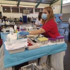 Personal sanitario durante la jornada de donación de sangre.