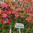 La frondosidad de la vegetación de algunas casas casi cubre las señales.
