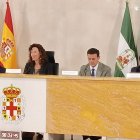 Un momento del pleno extraordinario de hoy.