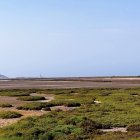 Las Salinas, secas tras la obtrucción en la galería.