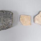 Piezas rescatadas por los agentes de la Policía Autonómica