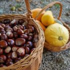 Se podrán degustar castañas y calabazas.