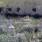 El cementerio esconde un almanaque de días de diario, de jornadas de profunda soledad donde sólo reina el frágil revoloteo de los pájaros.