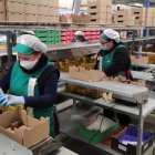 El sector agrícola y el de servicios han liderado la bajada del paro.