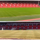 El antes y el después de la hierba del Estadio de los Juegos Mediterráneos.