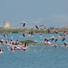 Las Salinas de Cabo de Gata.