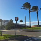 Una palmera se cae en una rotonda de El Toyo.