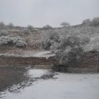 Imagen de Alcudia de este martes.