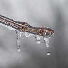 Recomendaciones para sobrellevar el frío.