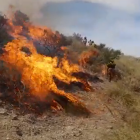 Imagen captura del vídeo que publicó el Infoca en Twitter.