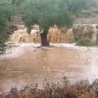 Rambla este lunes en el término municipal de Lubrín.