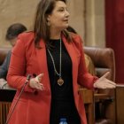 archivo de la consejera Crespo en una intervención en el Parlamento andaluz.