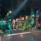 Las ramas caídas en el Paseo de Almería.