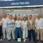 Sahara Expo El Cairo