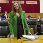 La consejera de Fomento, Rocío Díaz, en el Parlamento andaluz.
