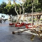 Efectos del viento en Almería capital.