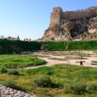 Así ha quedado el Jardín Mediterráneo de La Hoya