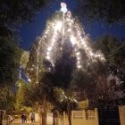 Imagen del llamativo pino decorado para estas fechas navideñas.