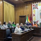 Imagen del Pleno de este viernes.