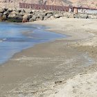 Estos pequeños invertebrados se concentran en la orilla,
