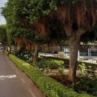 Los árboles que serán podados, en una imagen de Google Maps.